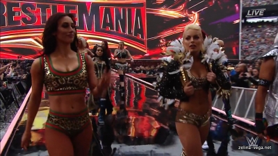 Click to view full size image
==============
zelinappv20190407_Still026.jpg zelinappv20190407_Still026.jpg