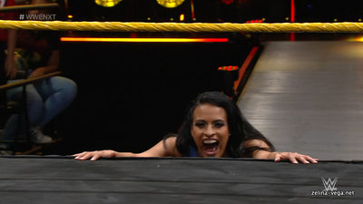 Zelina20171011_Still800.jpg