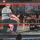 Zelina20131012_Still768.jpg